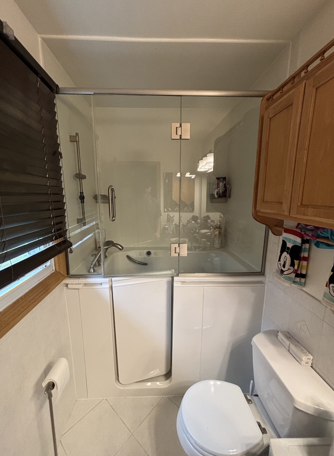 Hoffman Estates, IL bathroom before remodel